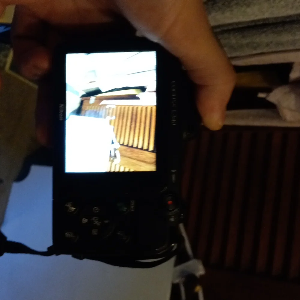Nikon coolpix L340 camera